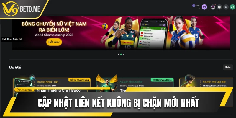 Cập nhật tên miền mới không lo bị chặn