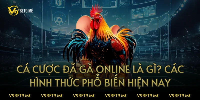 Cá cược đá gà online là gì? Các hình thức phổ biến hiện nay